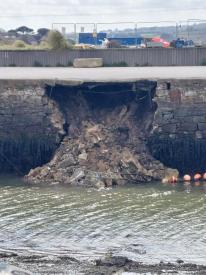 A woman and her dog walked over the top as the wall collapsed (Image: Theresa Lynn)